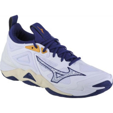 Mizuno Wave Momentum 3 M V1GA231243 shoes (39)