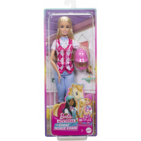 Mattel Barbie Mysteries: The Great Horse Chase - Malibu Doll with Riding Clothes  Accessories (HXJ38)