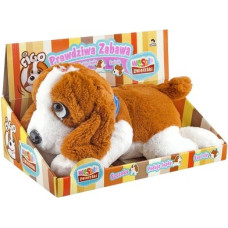 Madej Pies b/o 22 cm