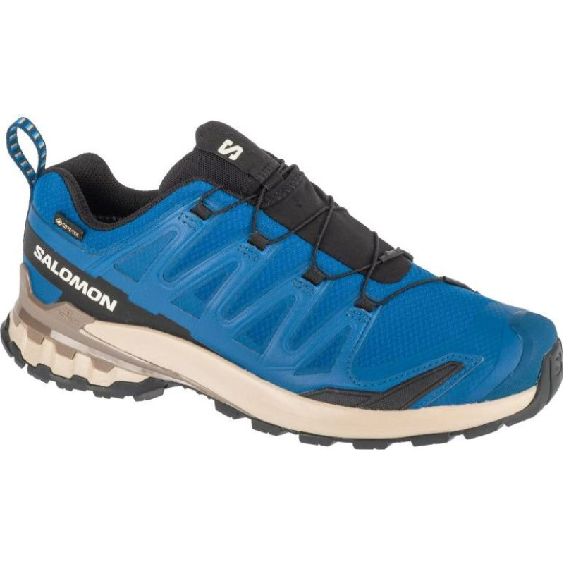 Salomon XA Pro 3D v9 GTX M L47817200 Running Shoes (44 2/3)