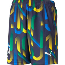 Puma Neymar Jr Future Printed Short Jr shorts 605541-06 (164)