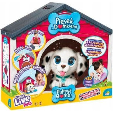 Cobi Maskotka little live pets piesek z domkiem dalmatyńczyk