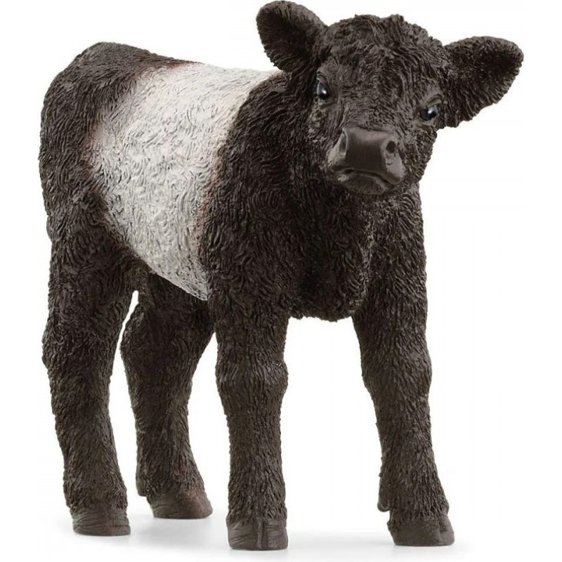 Schleich Figurka ciele rasy galloway