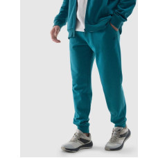 4F Trousers 4F M 4FWSS24TTROM603 46S (XXXL)