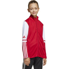 Adidas Squadra 25 Training Jr sweatshirt JD4797 (176 cm)