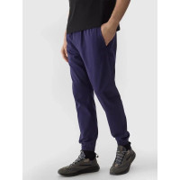 4F Trousers 4F M 4FWSS24TTROM646-31S (2XL)