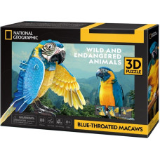 Cubic Fun Puzzle 3d 88 elementów ara szafirowa