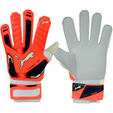 Puma Evo Power Grip 2 Aqua 41145 30 Goalkeeper gloves (10,5)