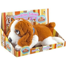 Madej Pies b/o 22 cm