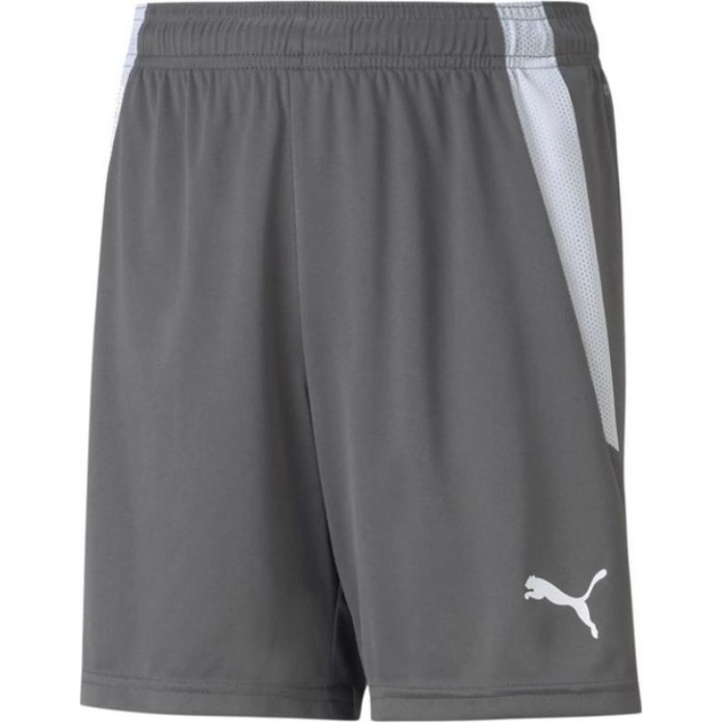 Puma teamLIGA Shorts Jr 704931 13 (116 cm)