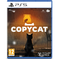 Tesura Games PS5 Copycat