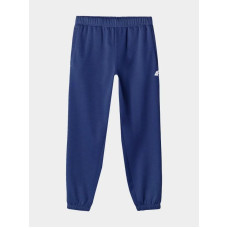 4F Sweatpants 4F M 4FWAW24TTROM1277-31S (2XL)