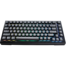 Ducky Tinker 75 Gaming Keyboard USB US English Black
