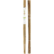 Progarden BAMBOO PLANT SUPPORT 78 CM 10 PCS