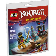 Lego Klocki ninjago 30700 bitwa arina z dragonem