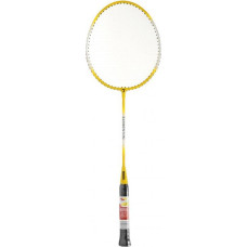 SMJ Teloon TL100 badminton racket