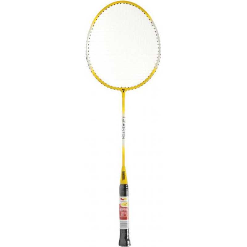 SMJ Teloon TL100 badminton racket