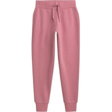 4F W NOSH4 SPDD351 56S pants (XL)