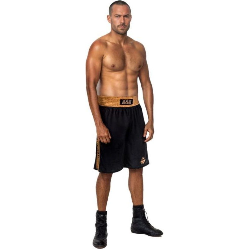 GOLD training boxing shorts (SILVER)