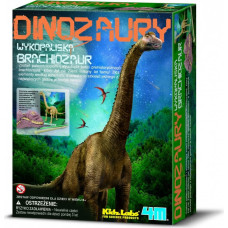 4M Zestaw naukowy wykopaliska - brachiozaur