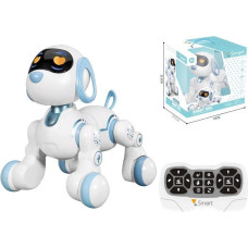 Madej Cyber pies r/c