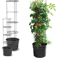 TOMATO PLANTING POT WITH LADDER CAPACITY 12L