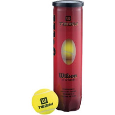 Wilson Team Practice Tennis Balls 4 pcs WRT111900