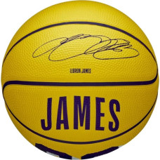 Wilson NBA Player Icon LeBron James Mini Ball Basketball WZ4027701XB (3)