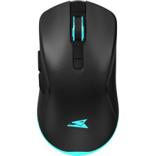 Baracuda BGM-121 Turtle Black