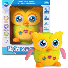 Artyk Mądra sowa e-edu