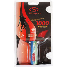 SMJ-1000 ping pong table