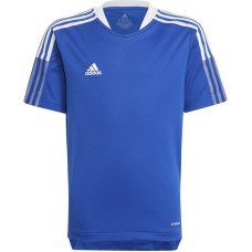 Adidas T-shirt adidas Tiro 21 Tr Jsy Y Jr GM7577 (128 cm)
