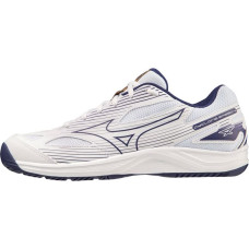 Mizuno Cyclone Speed 4 M V1GA238043 volleyball shoes (42)
