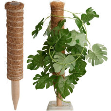 Progarden COCONUT PLANT SUPPORT 50CM PROGARDEN