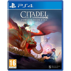 Solutions 2 Go PS4 Citadel: Forged With Fire