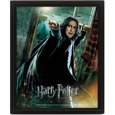 Pyramid Wall Art - Harry Potter Snape 3D Framed 20x25