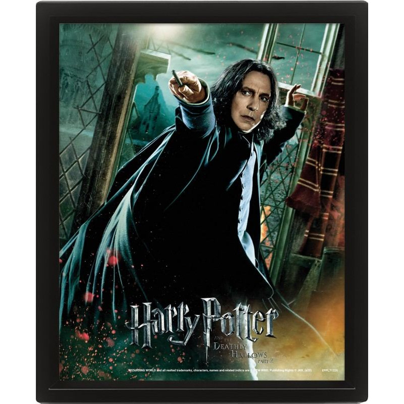 Pyramid Wall Art - Harry Potter Snape 3D Framed 20x25