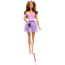 Mattel Barbie: Fashionistas #228 American Foundation for the Blind - Blind Doll (HRH17)