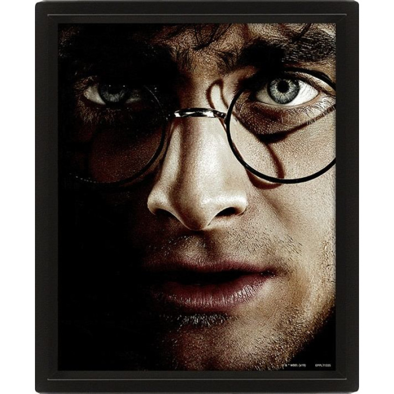 Pyramid Wall Art - Harry Potter vs Voldemort 3D Framed 20x25