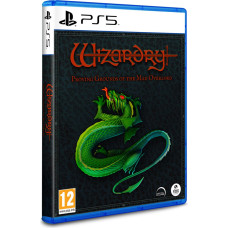 Clear River Games PS5 Wizardry Proving Grounds of the Mad Overlord