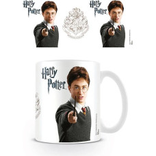 Pyramid Mug Harry Potter