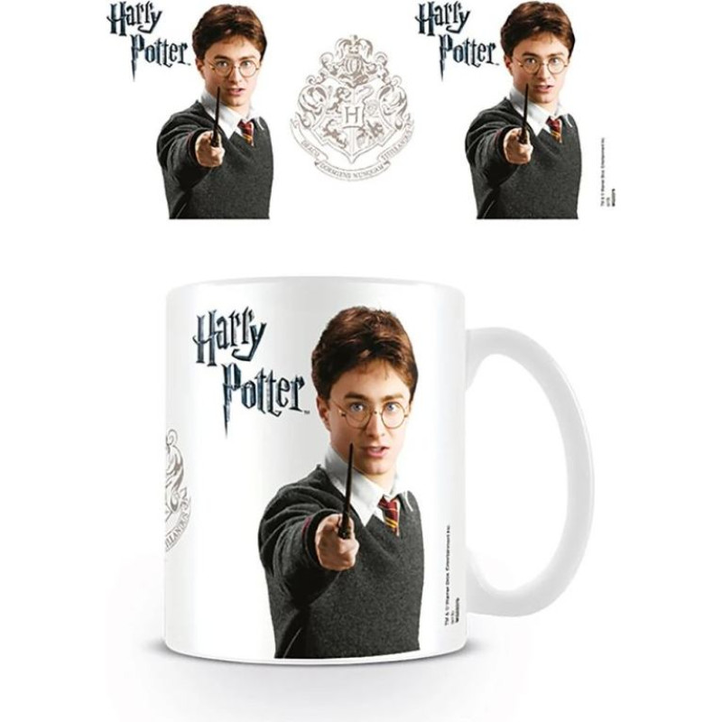 Pyramid Mug Harry Potter