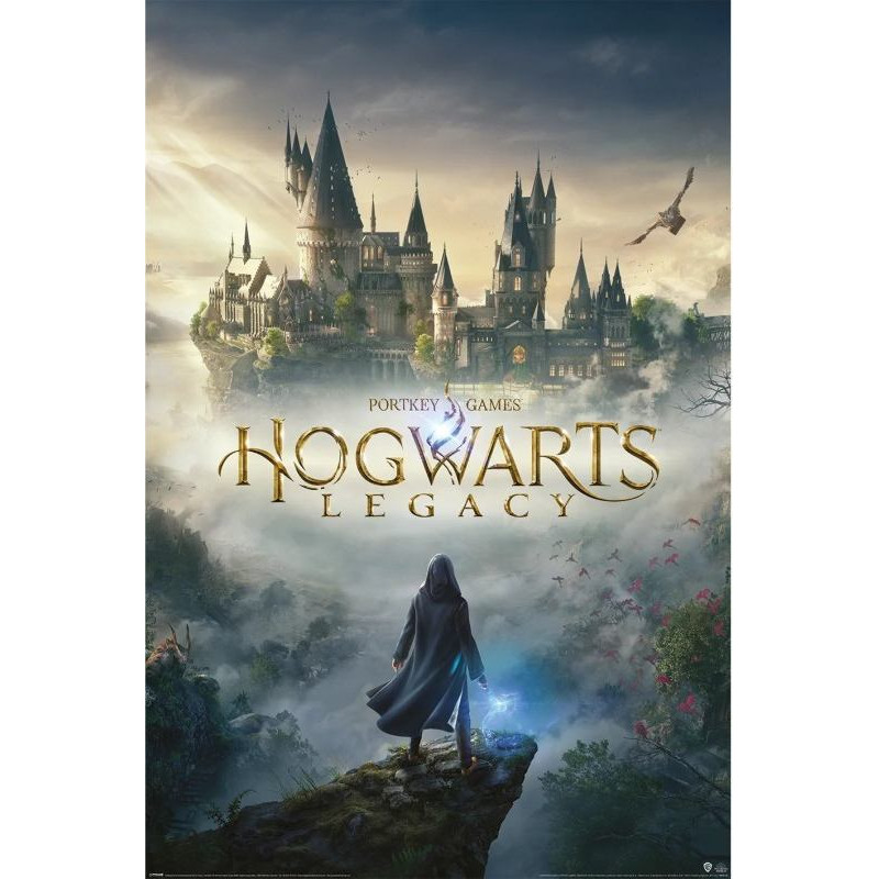 Pyramid 108 - Maxi Poster Hogwarts Legacy