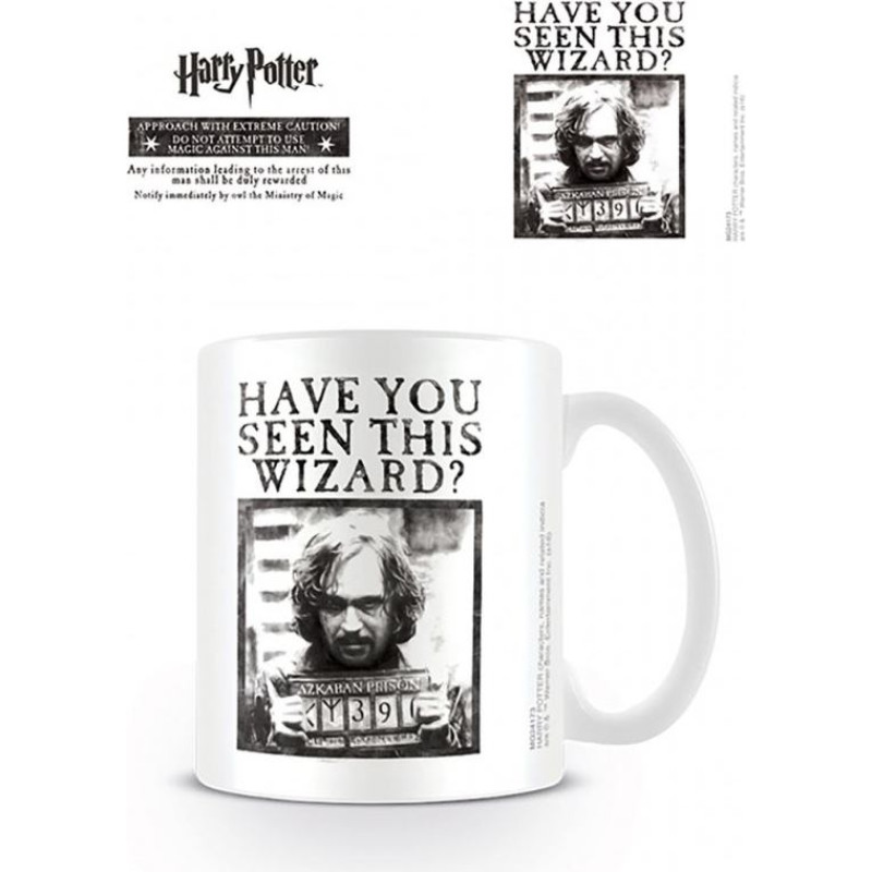 Pyramid MUG HARRY POTTER (WANTED)