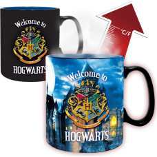 Abysse : Harry Potter - Letter Heat Change Mug (460 ml) (ABYMUGA501)