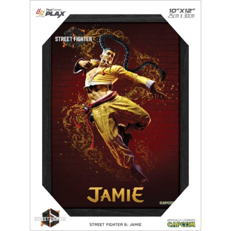 Pixel Frames PLAX Street Fighter 6: Jamie