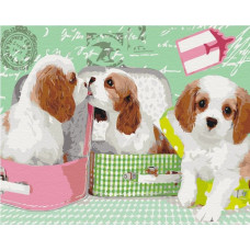 Symag Obraz paint it! malowanie po numerach. słodkie pieski