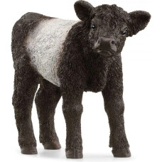 Schleich Figurka ciele rasy galloway