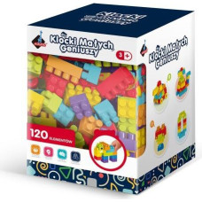 Askato Klocki małych geniuszy 120 elementów