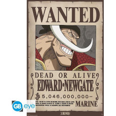 Abysse One Piece - Wanted Whitebeard Maxi Poster (91.5x61cm) (GBYDCO596)